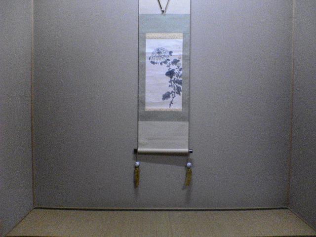 菊